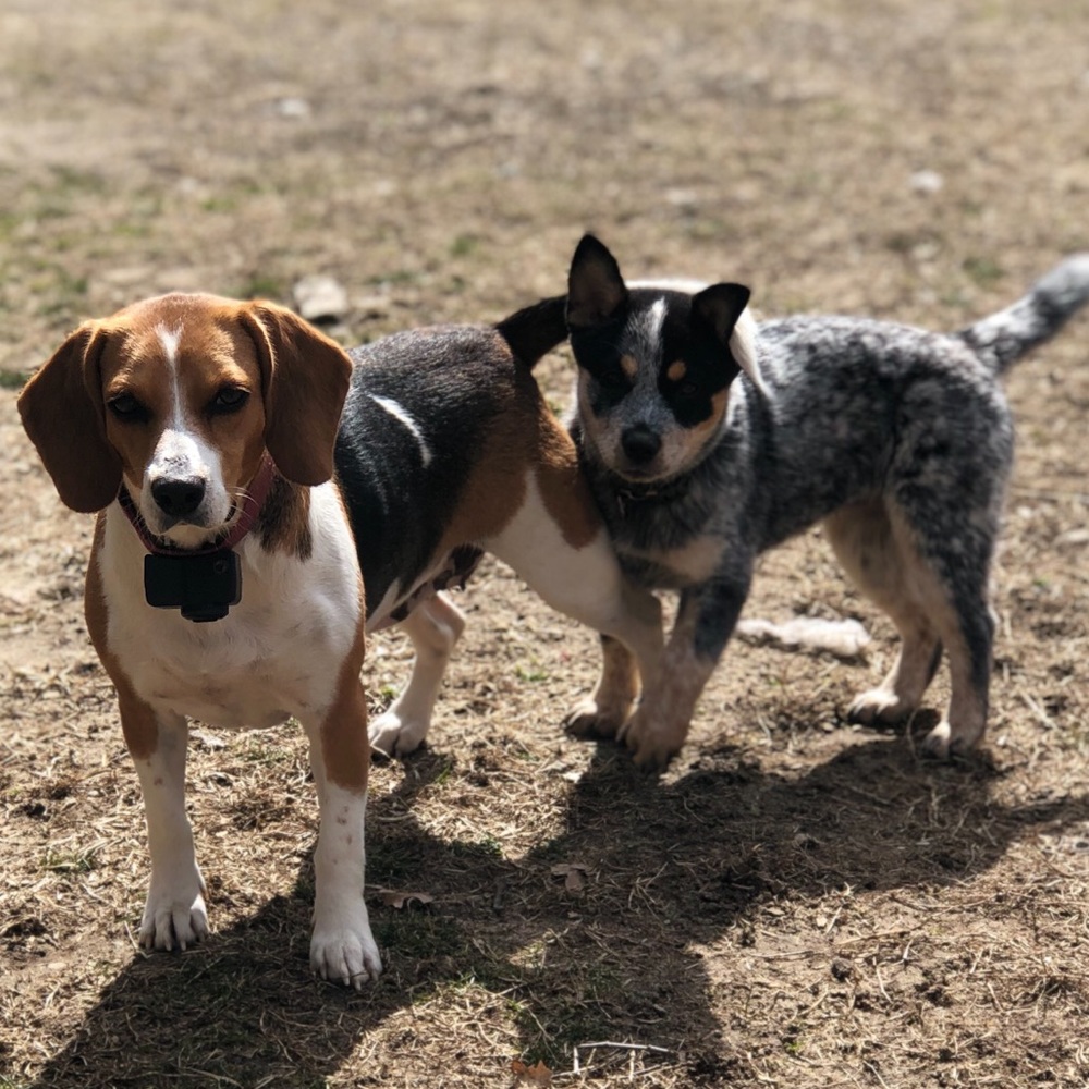 Meet your Posher, Savanna